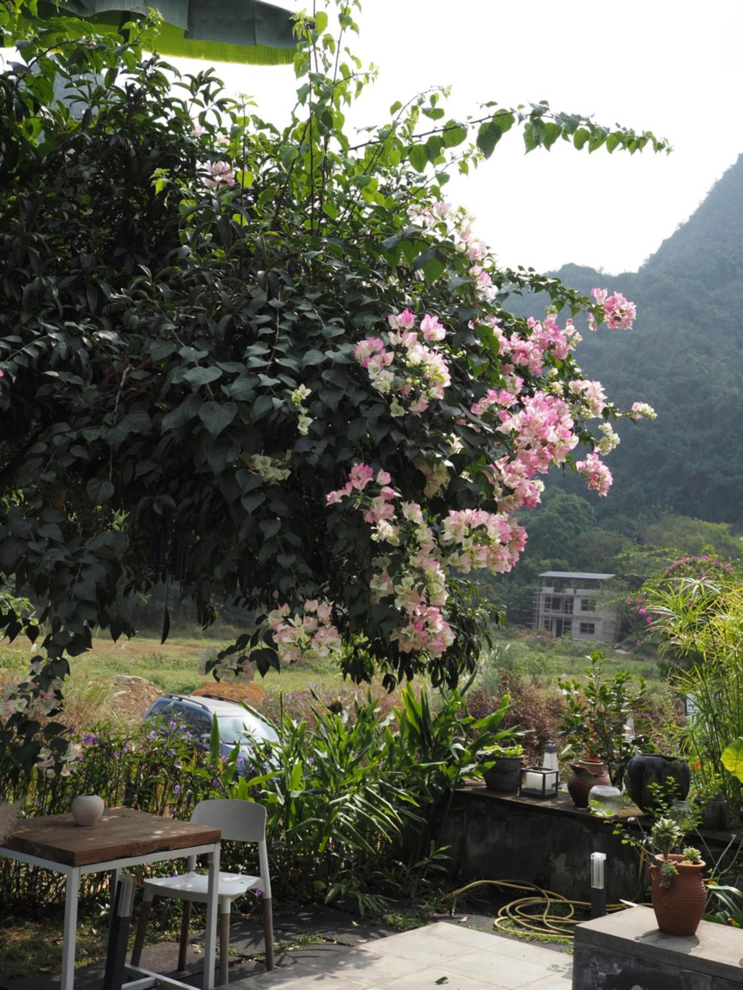 阳朔小山居民宿酒店 外观 照片