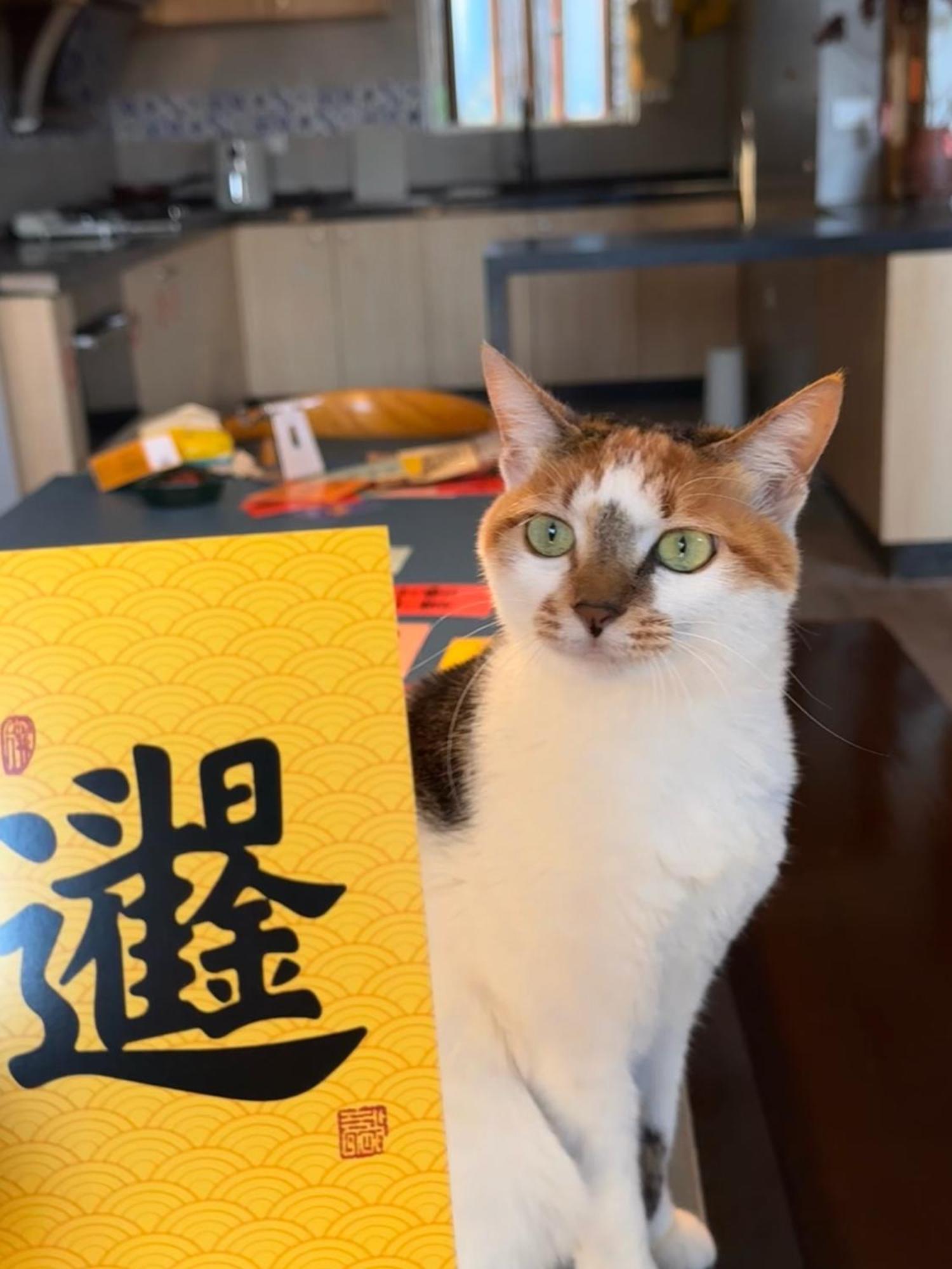 阳朔小山居民宿酒店 外观 照片